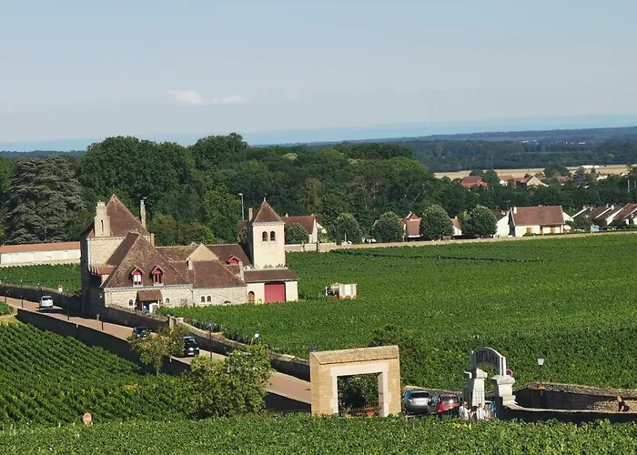 Appt proche des vignes